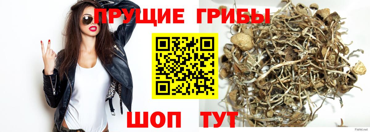 Псилоцибиновые грибы мухоморы  Вход с VPN  Кстово 